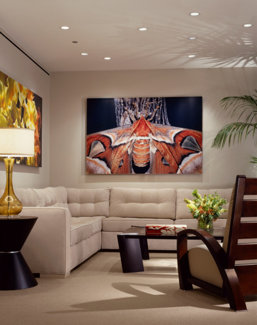 Interior Design From Clients Own Art - JRWD Interior Design