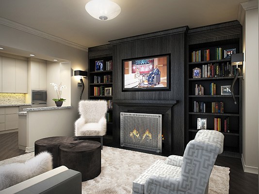 Custom built-in wall showcases a honed black granite fireplace flanked by bookcases - Chicago Interior Design